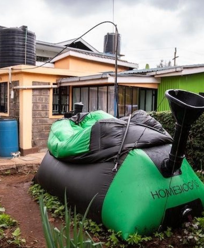 Biogas: Cheaper, Clean Alternative to LPG and Cooking Gas