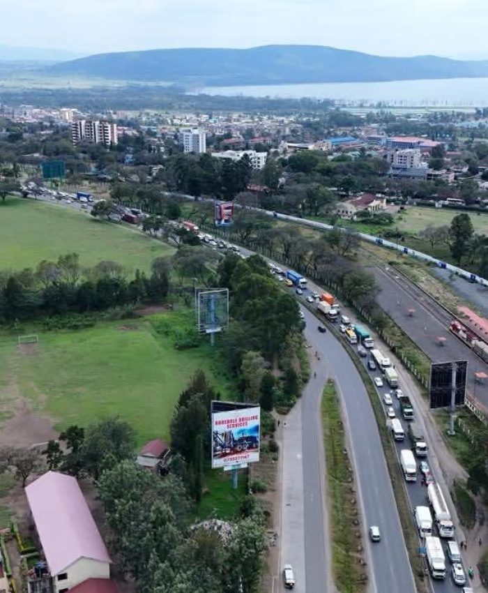 How the Expansion of Mahia–Mau Road Will Reduce Traffic Accidents